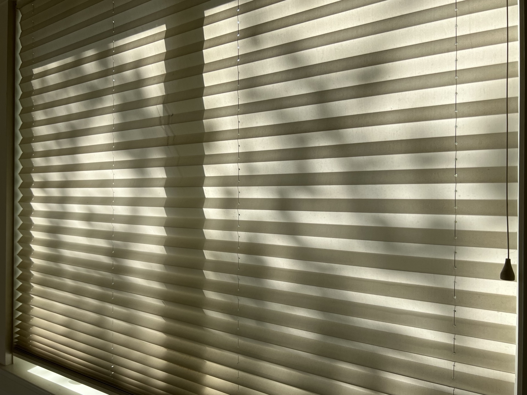 window shade in afternoon sunlight with pleats making a striped pattern out of light and shadow