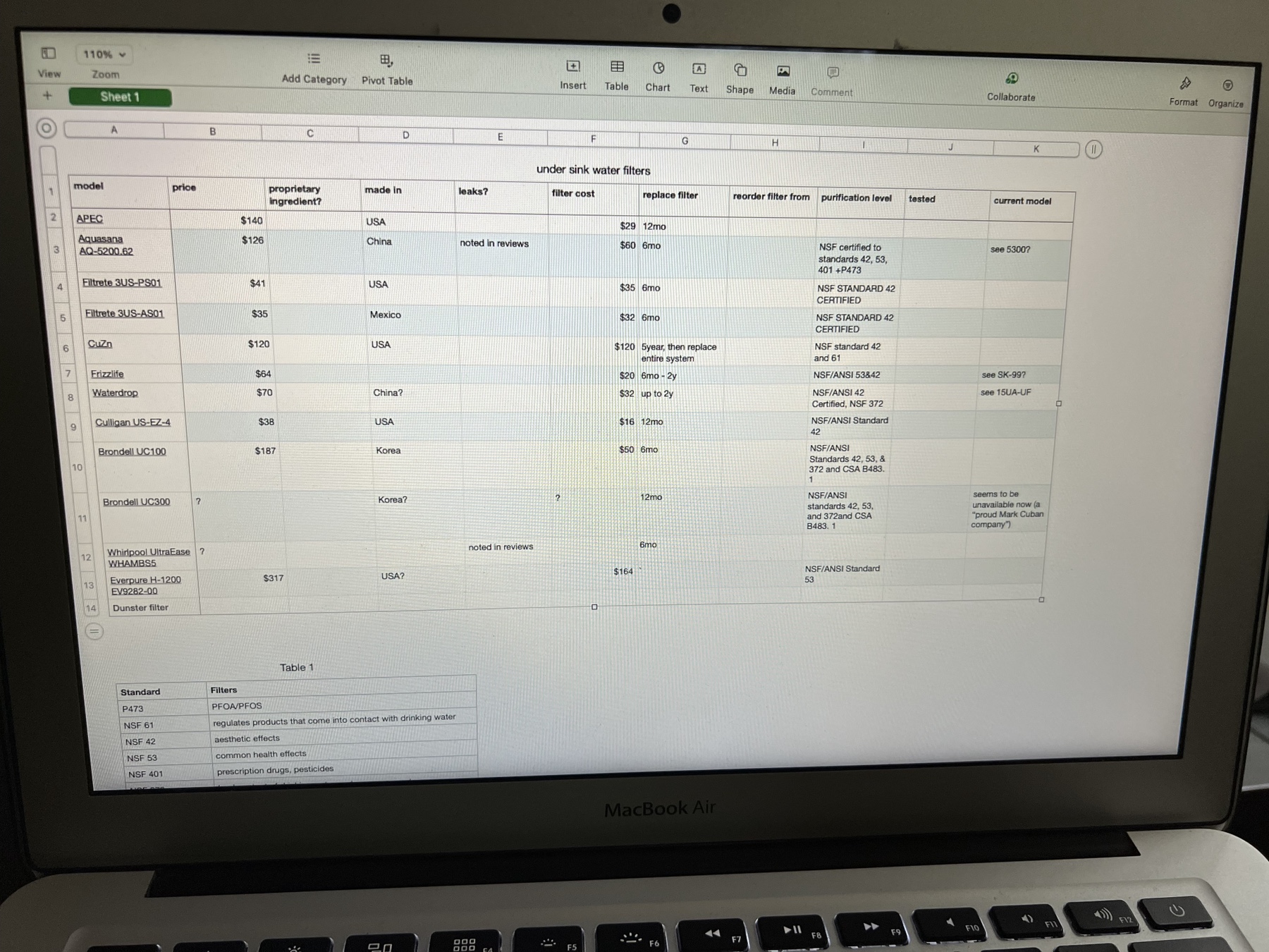 computer screen showing a spreadsheet listing water filters and decision criteria