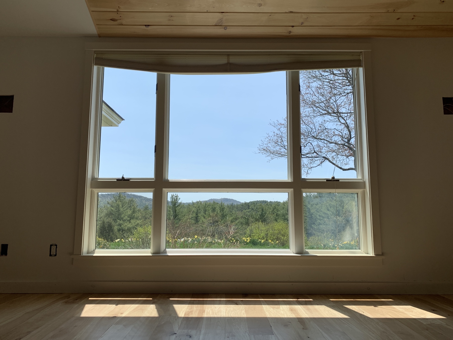 large window showing blue sky with light falling on spalted beech flooring