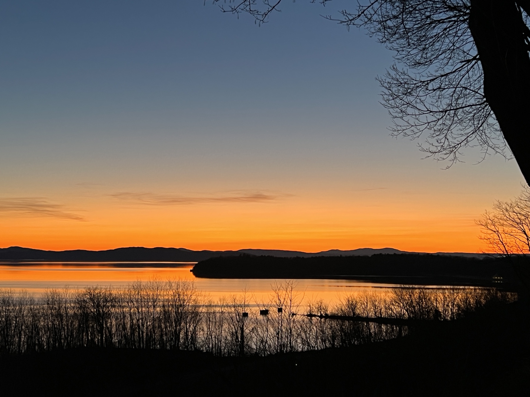 sunset view of Lake Champlain from Burlington with silhouetted shoreline and trees in foreground and mountains on the far shore